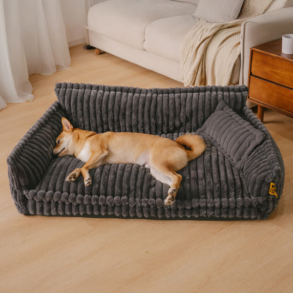 Sofá Cama Ortopédico para Pets + Escada Pet de brinde