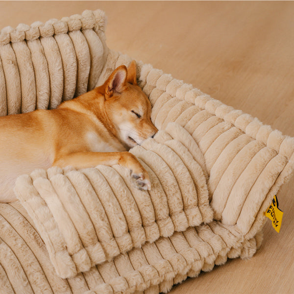 Sofá Cama Ortopédico para Pets + Escada Pet de brinde