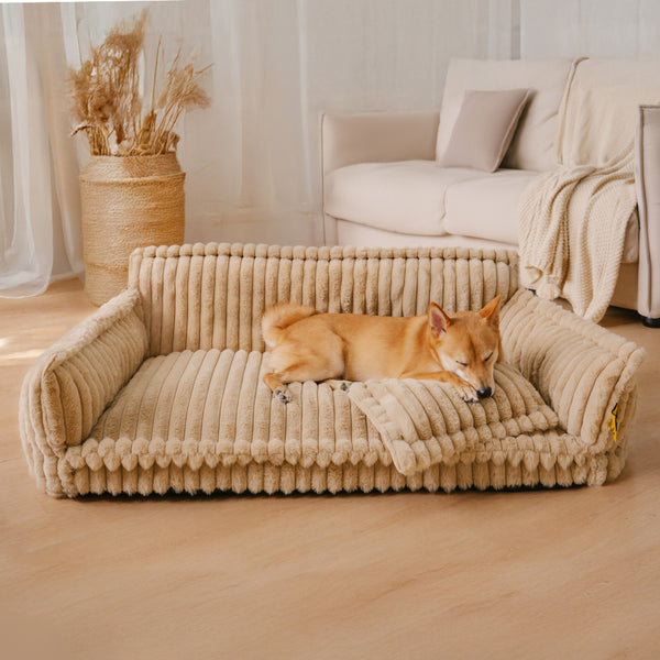 Sofá Cama Ortopédico para Pets + Escada Pet de brinde